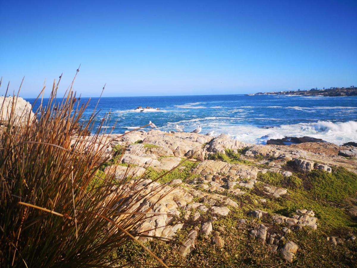 Troon Beach Cottage Hermanus Exterior photo